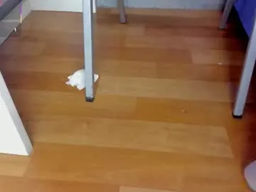 DestinyTurner – webcam model profile photo Image 6