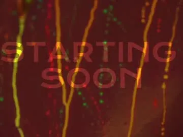 mia_dynasty – webcam model profile photo Image 15