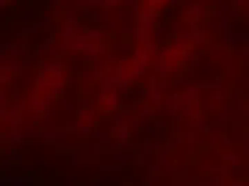 mia_dynasty – webcam model profile photo Image 15