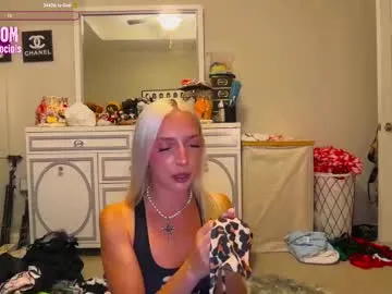 katt008 – webcam model profile photo Image 7