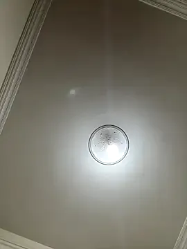 ayakappp – webcam model profile photo Image 19