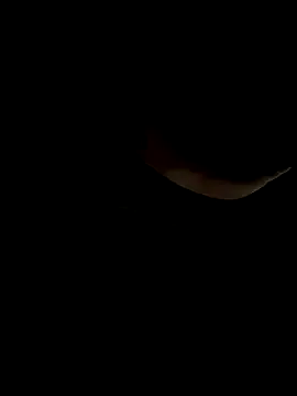 sigmasian – webcam model profile photo Image 5