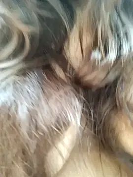 nide_xiaogou – webcam model profile photo Image 10