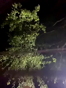 nakedbakers – webcam model profile photo Image 16