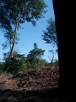 Kavya_KannadaTamil – webcam model profile photo Image 13