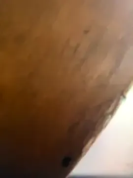 PumaShyXD – webcam model profile photo Image 7