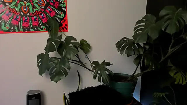 Runarunapi – webcam model profile photo Image 10