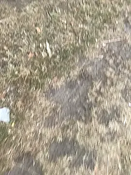 nide_xiaogou – webcam model profile photo Image 6