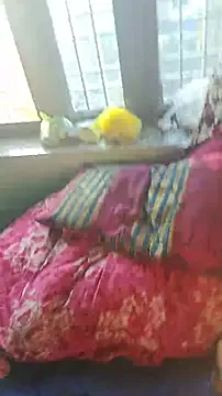 nyakotan – webcam model profile photo Image 5