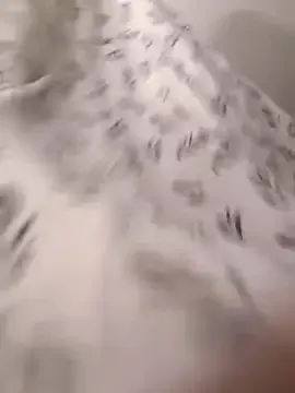 eli_sun – webcam model profile photo Image 16