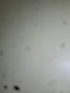 indialatin – webcam model profile photo Image 15