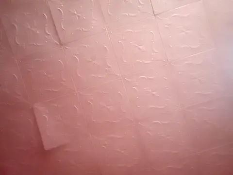 bunnyblondy – webcam model profile photo Image 3