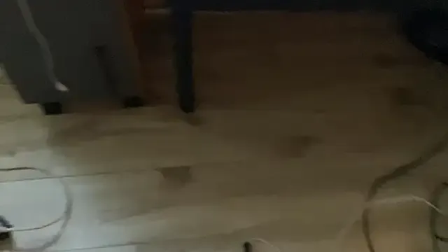 bunnyblondy – webcam model profile photo Image 10