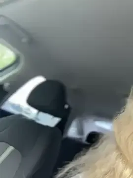 krysstal003 – webcam model profile photo Image 12