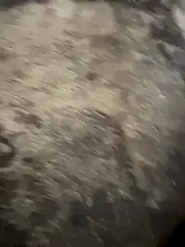 nide_xiaogou – webcam model profile photo Image 5