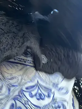 SashaCatt – webcam model profile photo Image 17