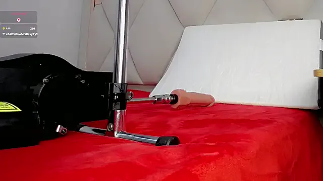 PumaShyXD – webcam model profile photo Image 8