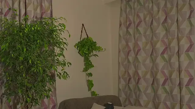 indialatin – webcam model profile photo Image 10