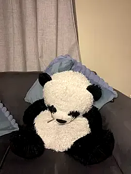 AftonConnett – webcam model profile photo Image 11